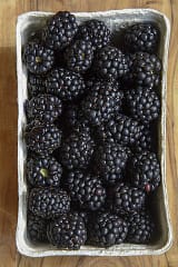 berry6